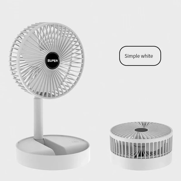 Stand Fan