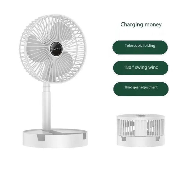 Stand Fan