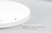 Led Ceiling Lights